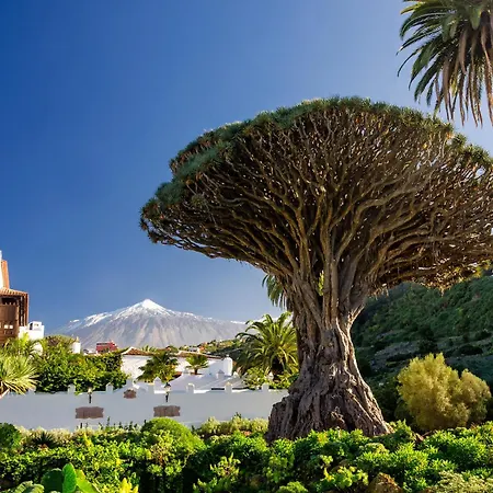 Eden Duke Ocean Views With Ac * Costa Adeje (Tenerife)