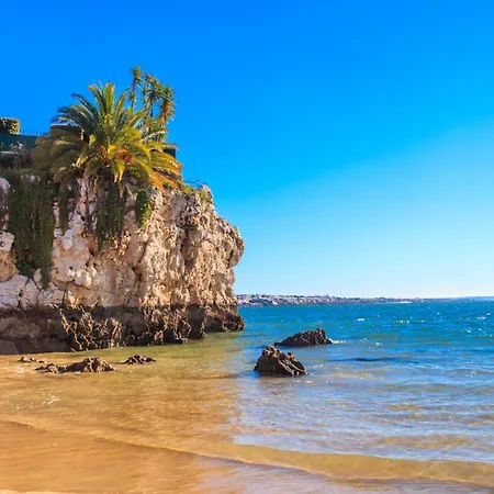 Eden Duke Ocean Views With Ac * アデヘ